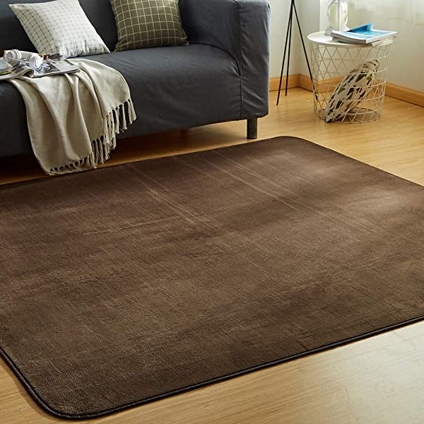 カーペット ラグ 洗える 滑り止め付 防ダニ 抗菌 防臭 200×250cm(約3畳) 12色選べる 1年中使えるタイプ 床暖房 ホットカーペット対応 ふわっと手触り 優しいフランネルラグ 絨毯 ムジ